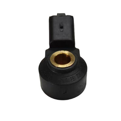 Auto Parts 1.6T Knock Sensor For Peugeot 2008 3008 308S 4008 5008 508 207C 308SW RCZ Citroen C3XR C4L C5 C6 DS5 OE 1920LT
