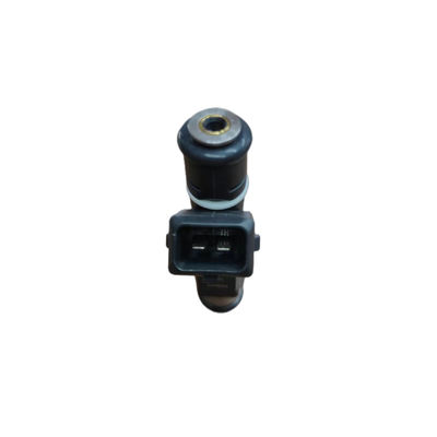 Auto Parts Fuel Injector Fuel Injection Valve Nozzle OE 1984E2 1984E0 For Peugeot Citroen