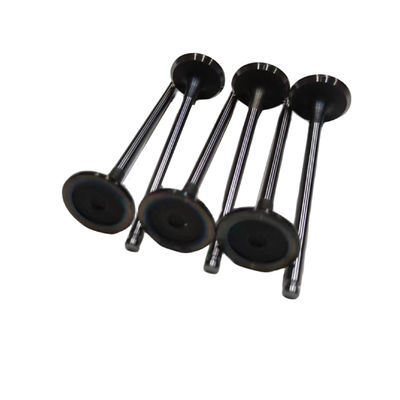 Auto Parts 1.2T Engine Intake And Exhaust Valves For Peugeot 2008 308 408 Citroen C3XR C4L OE 9807292680 9807292780