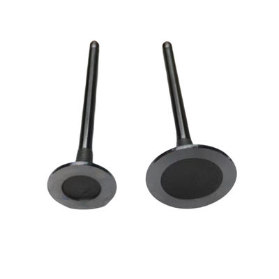 Auto Parts 16V Engine Intake And Exhaust Valves For Peugeot 2008 206 207 307 308 408 Citroen C2 C3 C4 OE 0948A9 0949C5