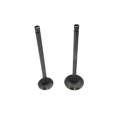 Auto Parts 16V Engine Intake And Exhaust Valves For Peugeot 2008 206 207 307 308 408 Citroen C2 C3 C4 OE 0948A9 0949C5