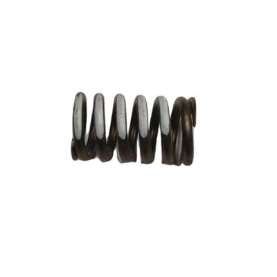 Auto 16V Valve Spring For Peugeot 206 207 307 308 408 Citroen C2 C4 OE 0952A9 095297 1204504