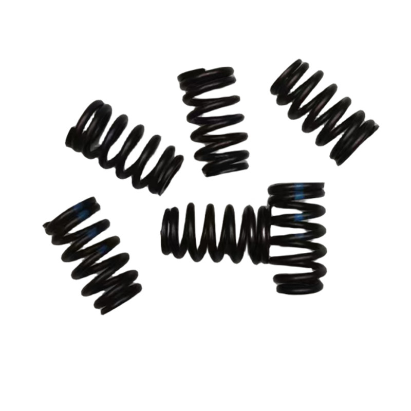Auto 1.6T Valve Spring For Peugeot 2008 3008 4008 5008 508 308 408 Citroen C3XR C5 C6 OE 9806286080 0952C6